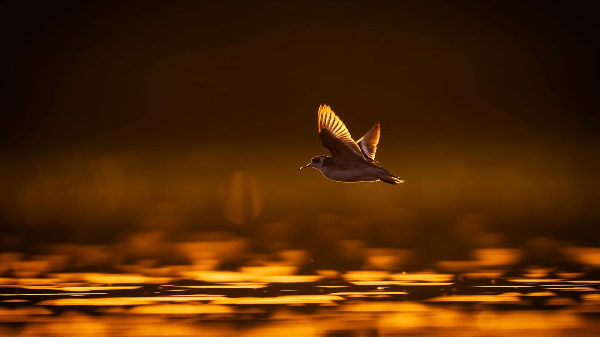 Gold retests US$4,000 amid weak US jobs data