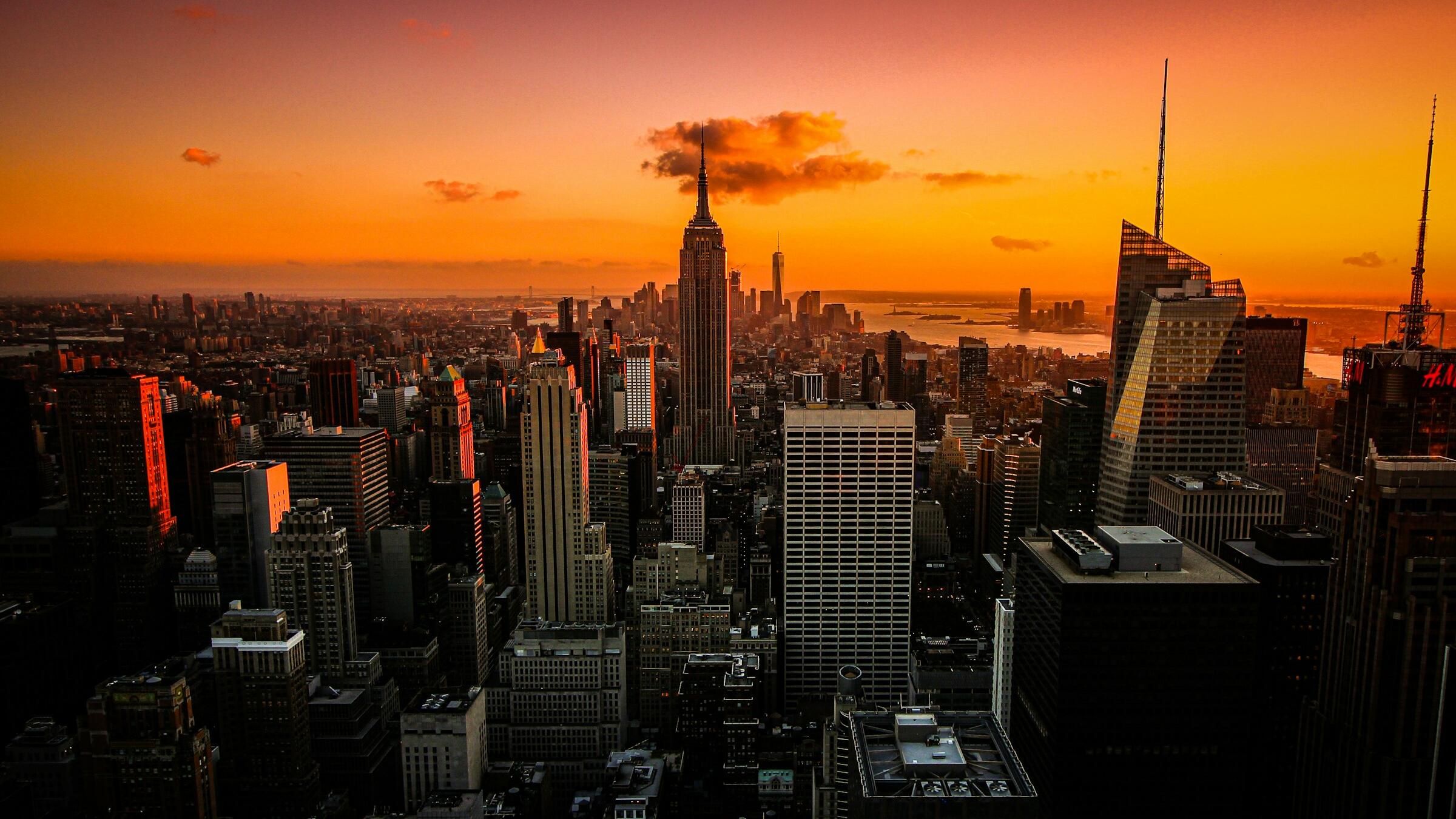 Credit: Florian Wehde / Unsplash