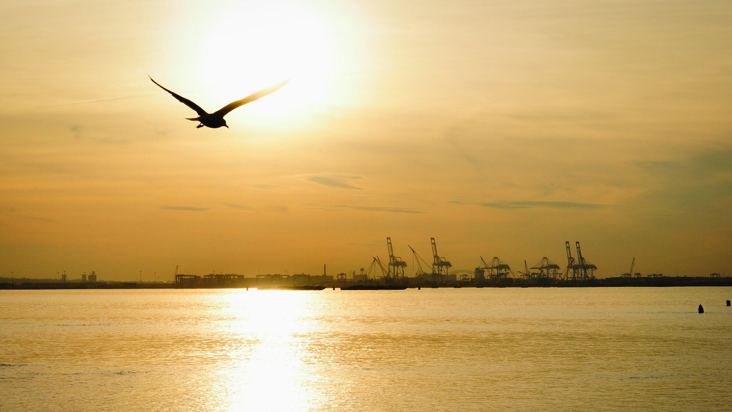 Gold lifts as traders eye potential US govt reopening