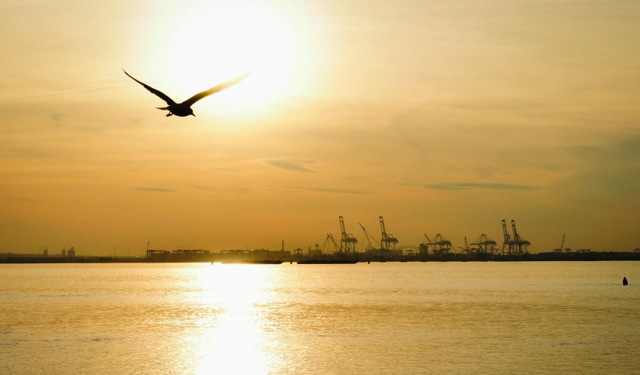 Gold lifts as traders eye potential US govt reopening