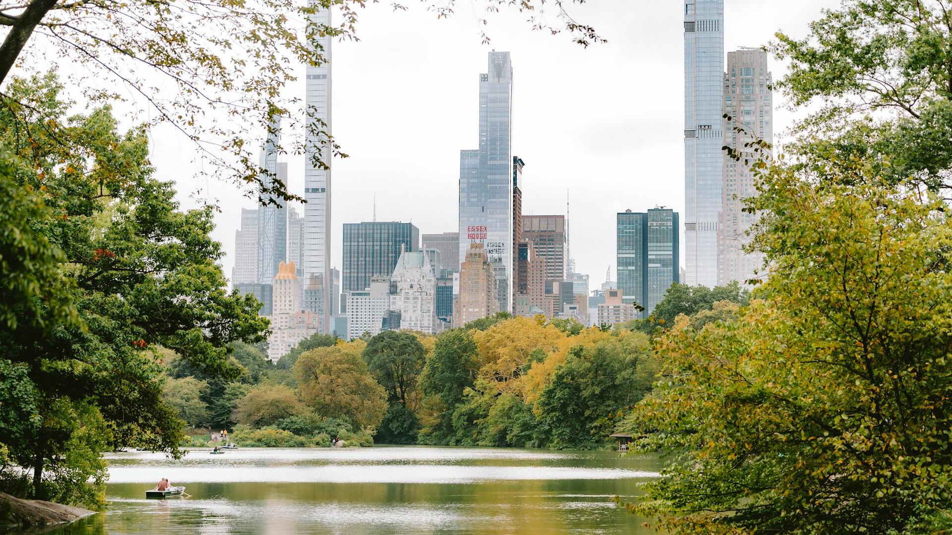 Credit: Line Knipst / Pexels