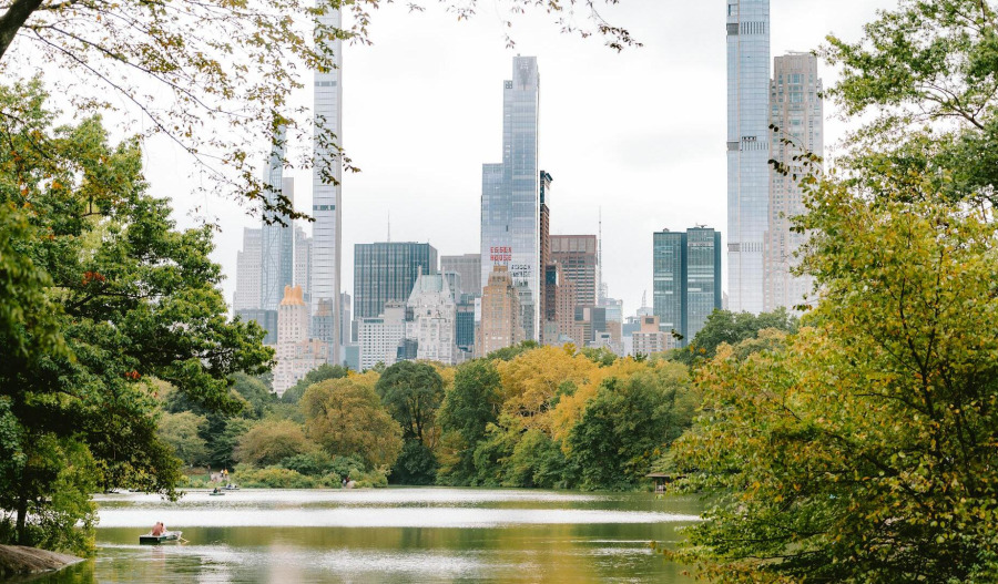 Wall St rallies as risk returns; US shutdown nears end