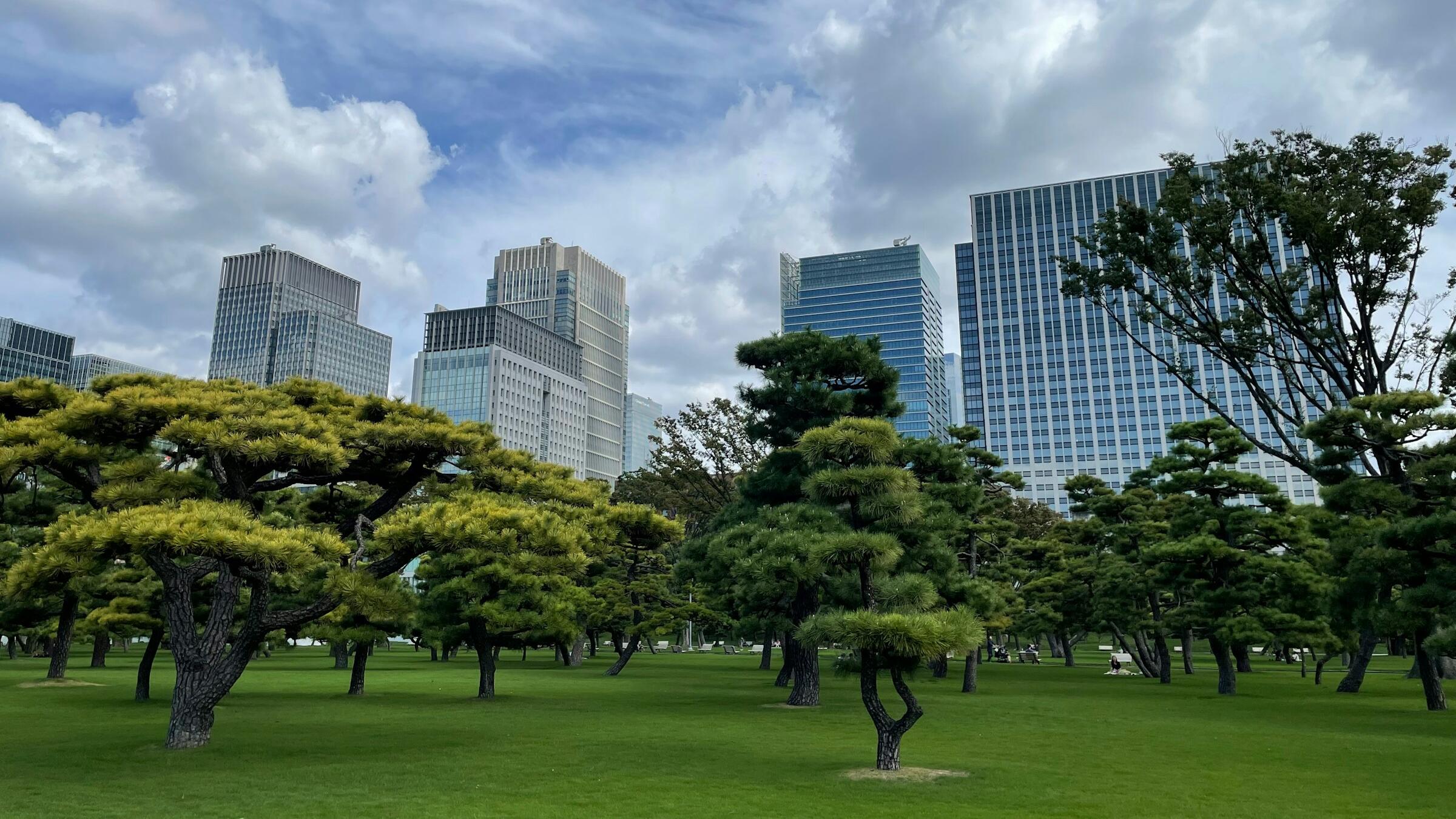 APAC on the rise amid US funding hopes, AI rebound