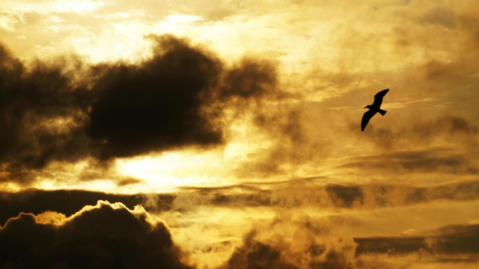 Gold pushes toward US$4,150 on rising rate cut hopes