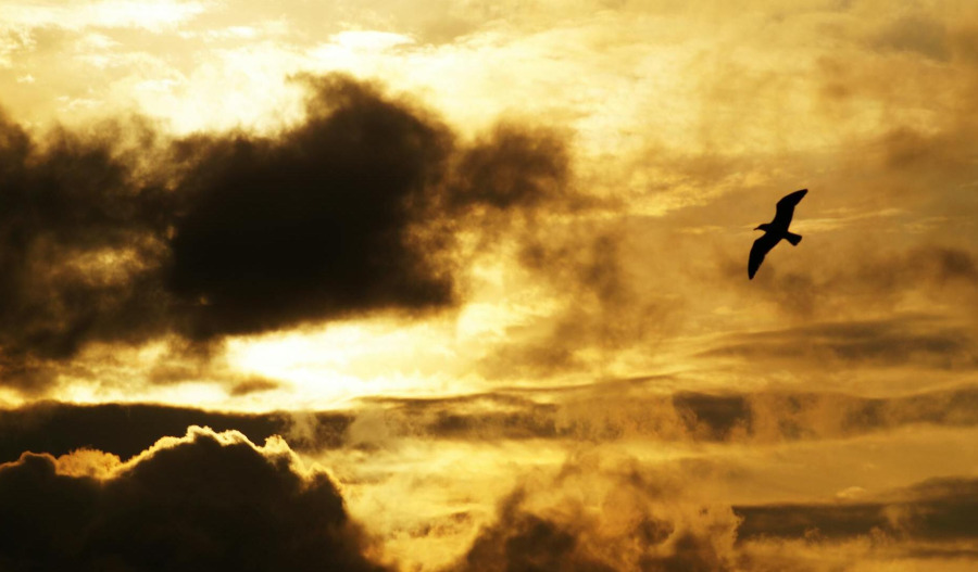 Gold pushes toward US$4,150 on rising rate cut hopes