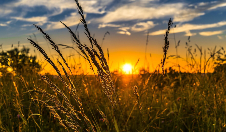 Trading floor: Graincorp tanks; Orica, Activeport rise