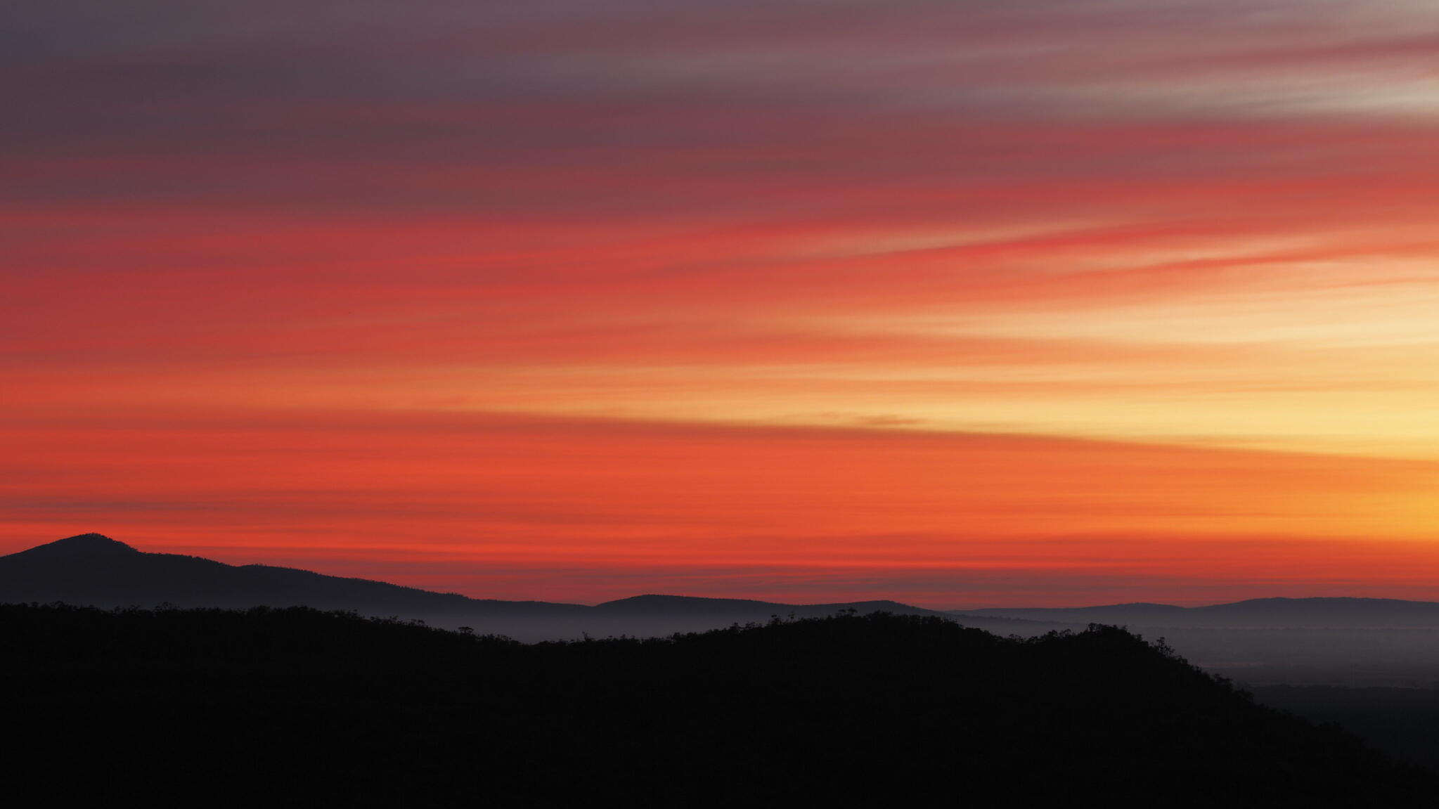 Wall St dive leaves ASX investors looking at sea of red