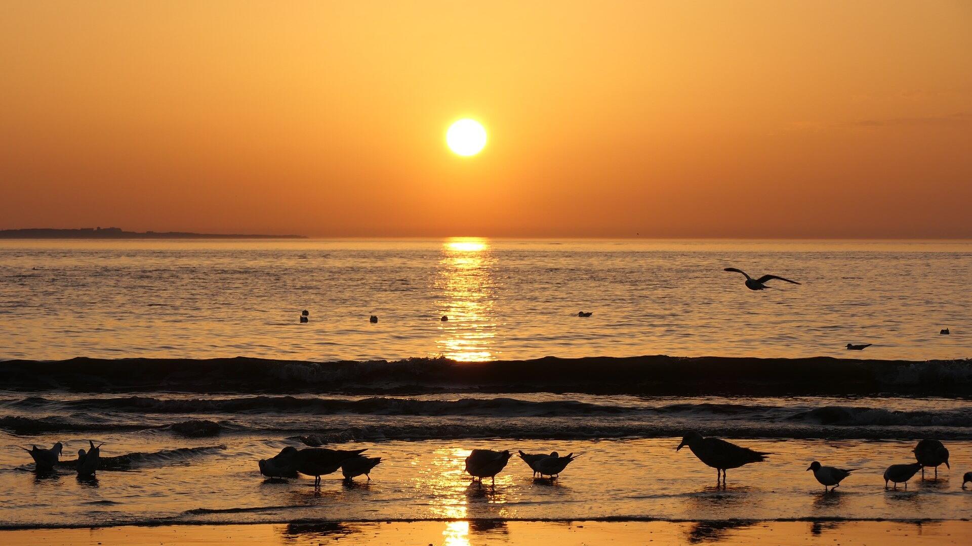 Gold falls below US$4,100; resumption of US data eyed