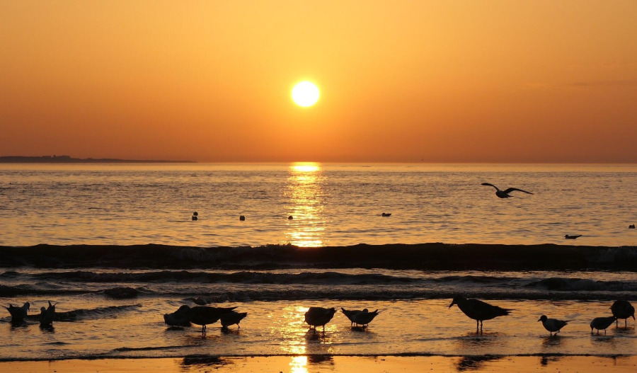 Gold falls below US$4,100; resumption of US data eyed