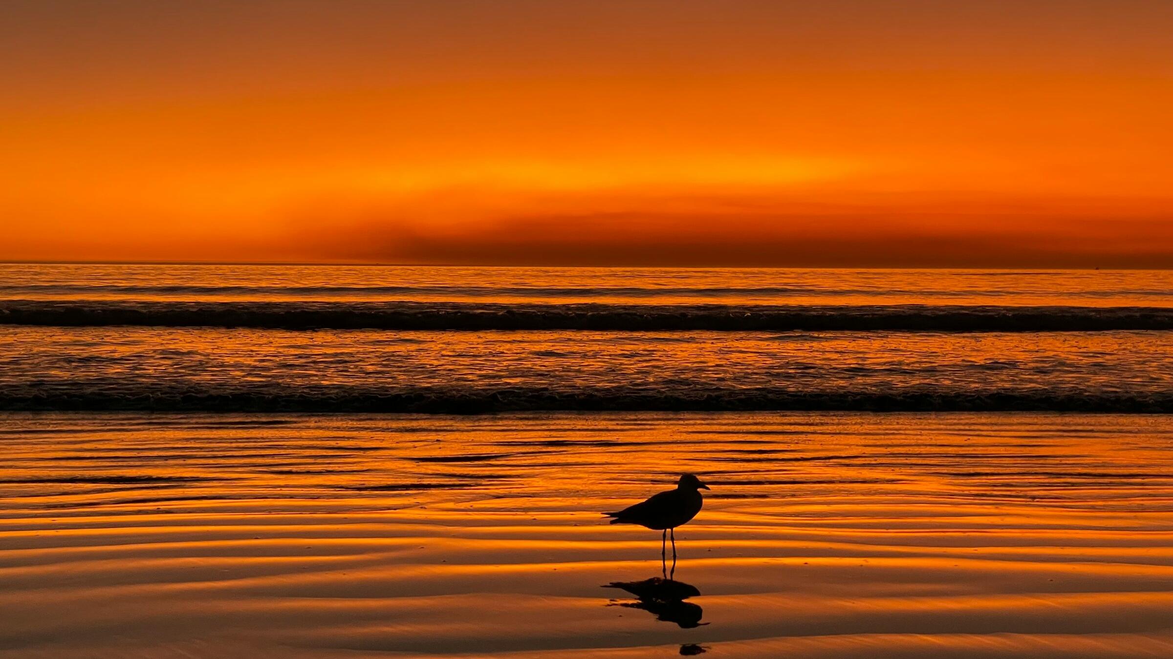 Gold defends US$4,000 as declines extend to 4th session