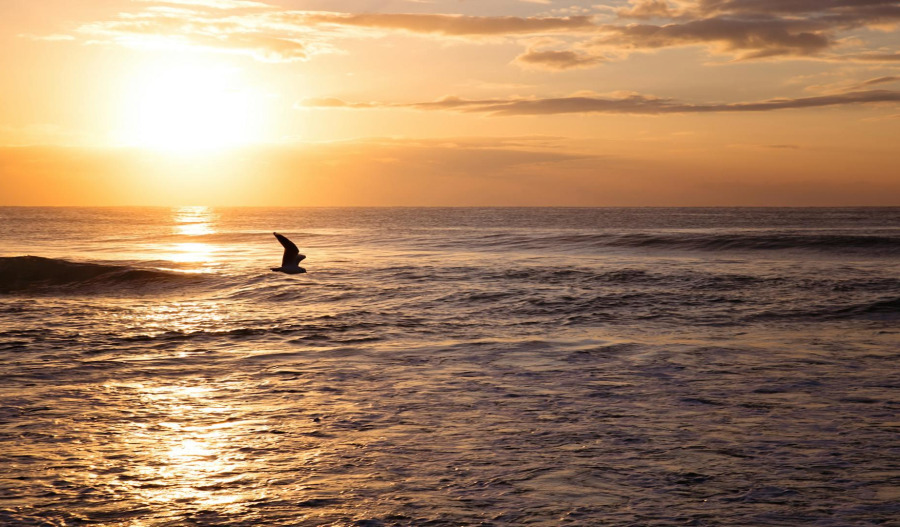 Gold retests US$4,100; traders await Fed minutes, NFP