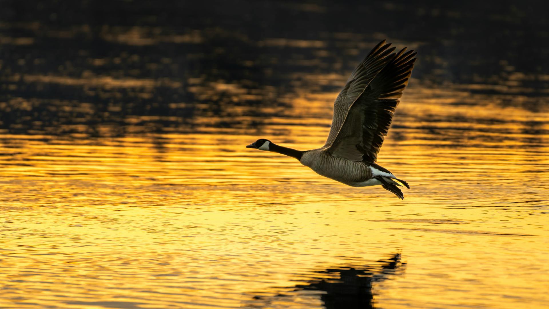 Gold prices tick up; traders await delayed US data