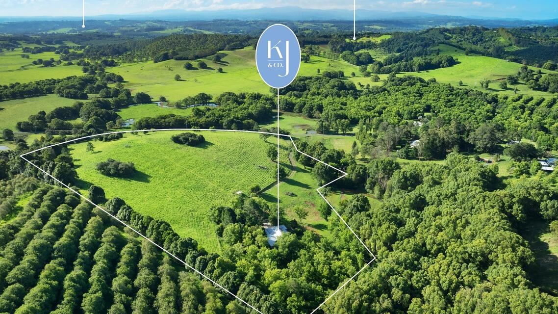 82 Tooheys Mill Rd, Pearces Creek NSW 2477, Australia