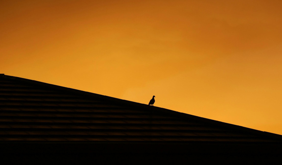 Gold eases in thin trade; risk appetite improves