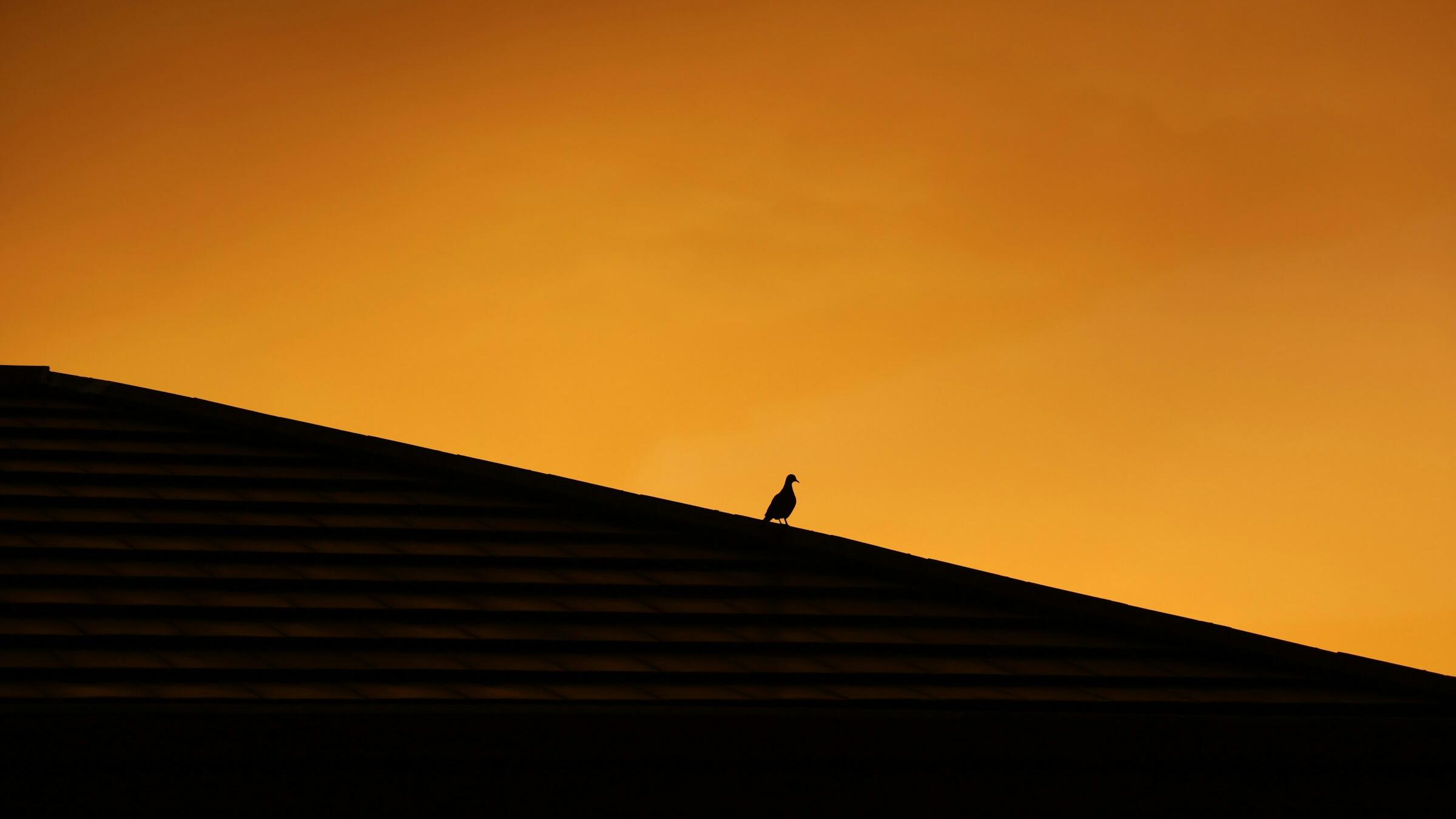 Gold eases in thin trade; risk appetite improves