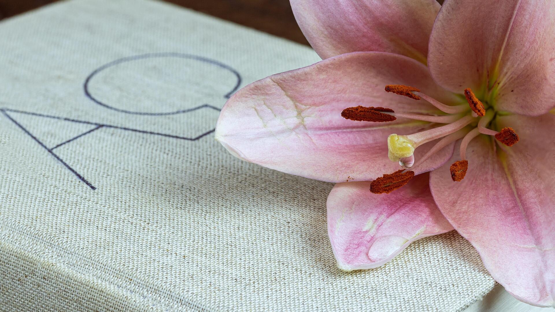 EM assets shine as developed market risks rise