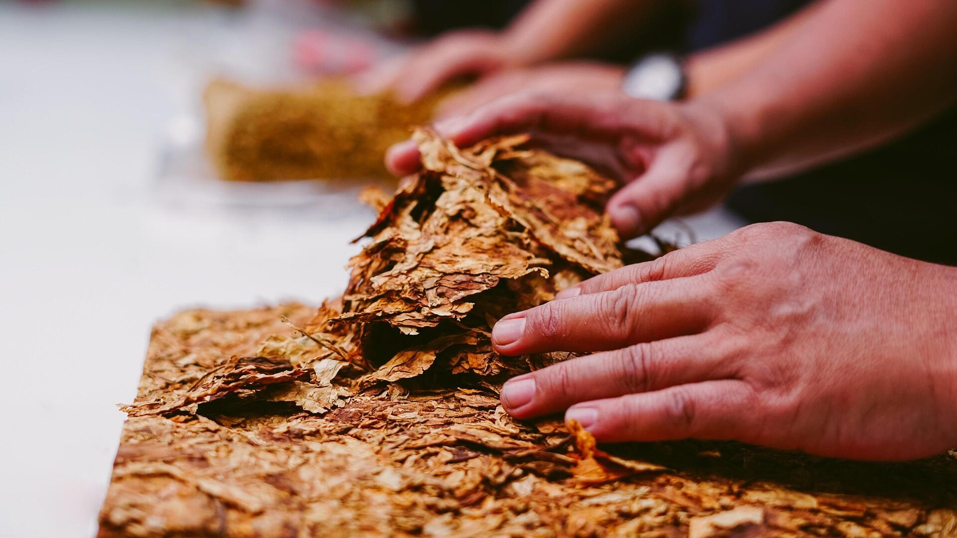 Credit: Afif Ramdhasuma / Pexels