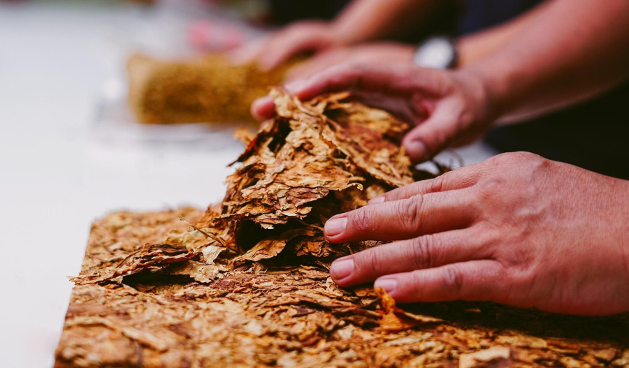 Supermarket sales go up in illicit smoke