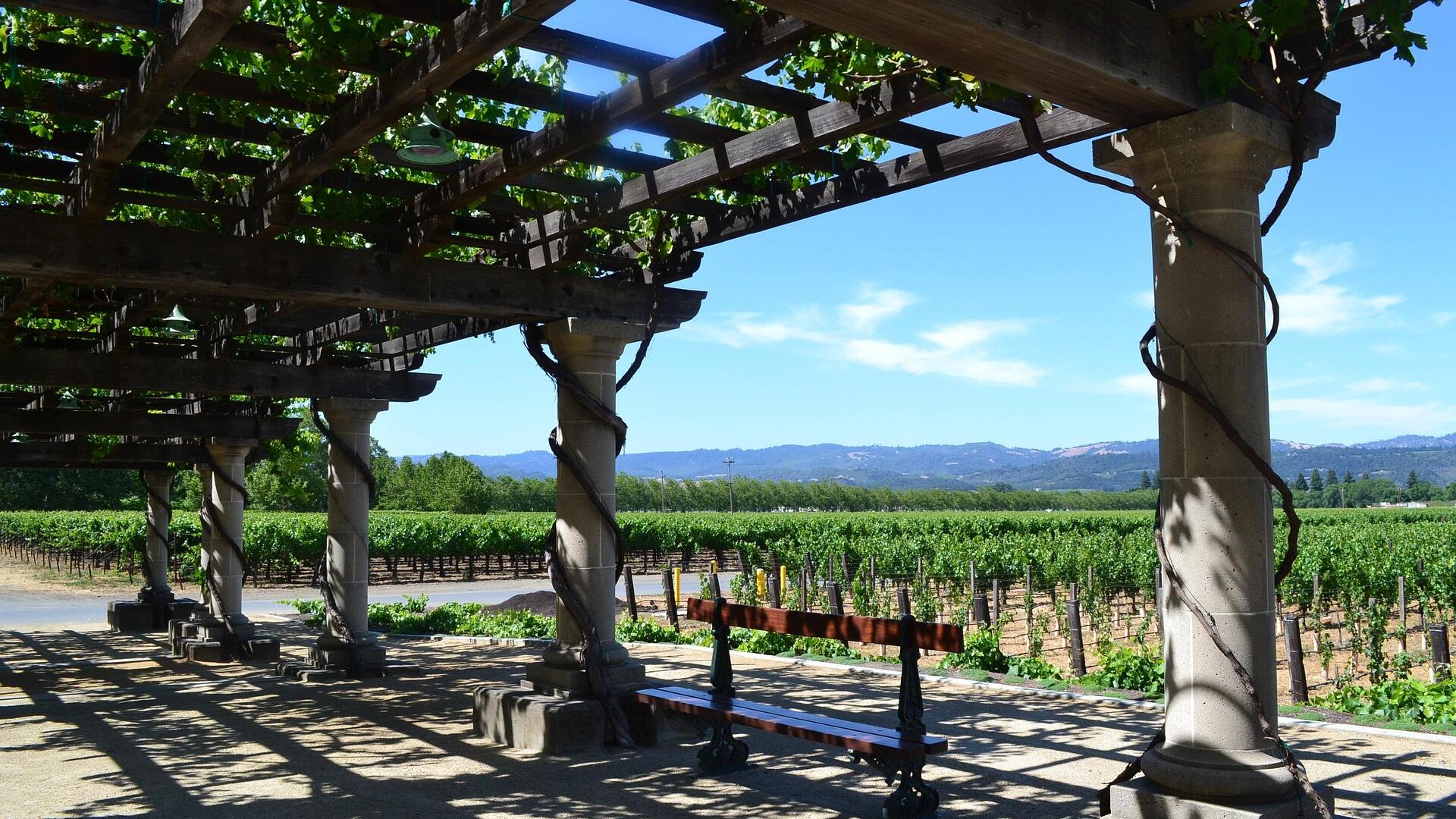 Trading floor: TWE, AUB lower; Tungsten Mining soars