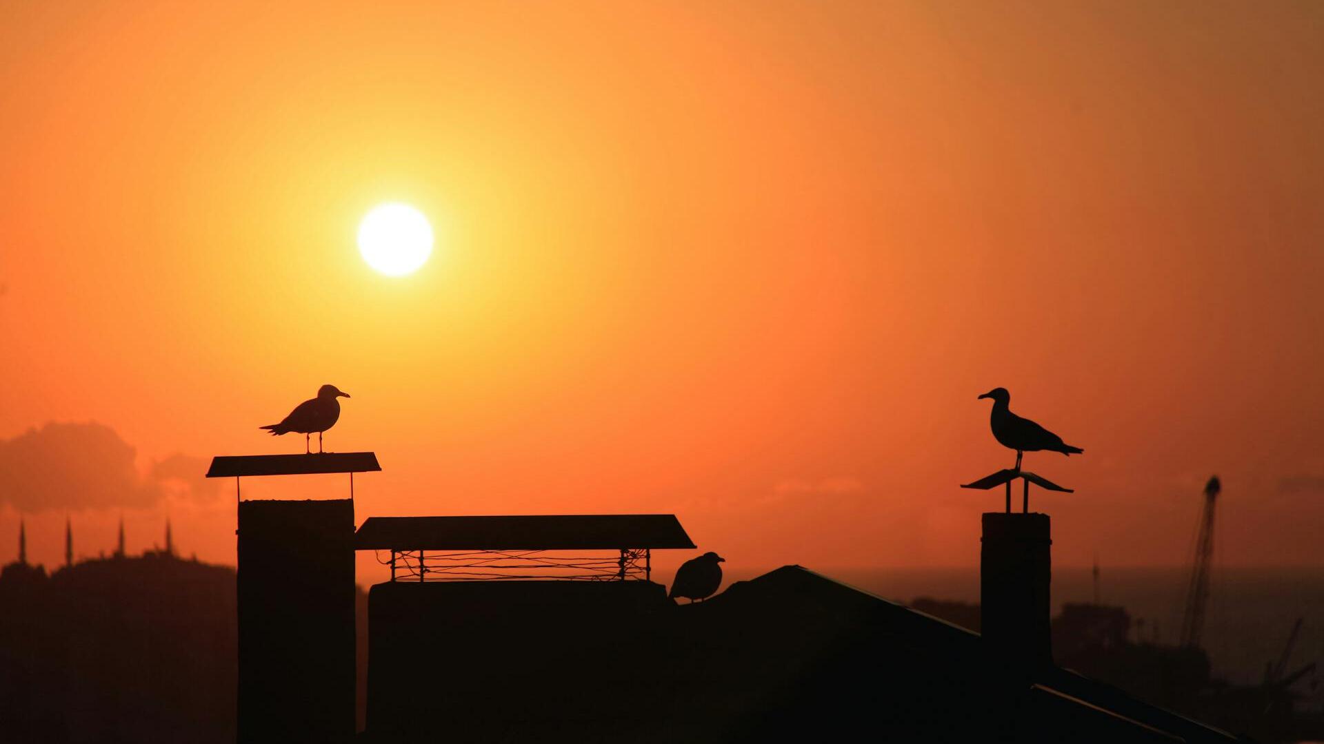 Credit: Ezgi Bircan / Pexels