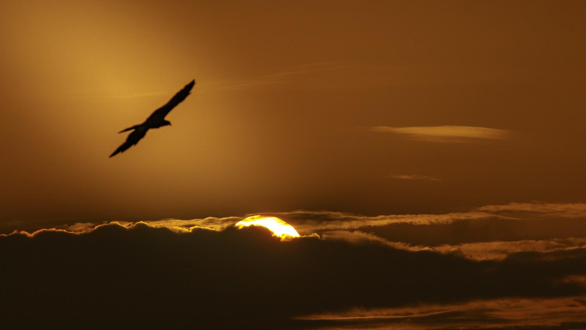 Gold steadies near US$4,200; markets await US jobs data