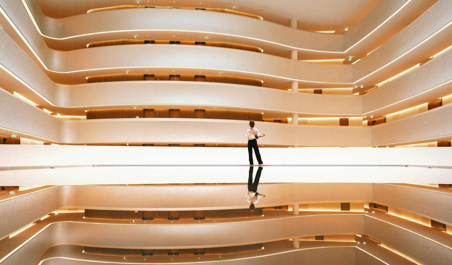 Trading floor: Liontown, Bapcor down; Immutep soars