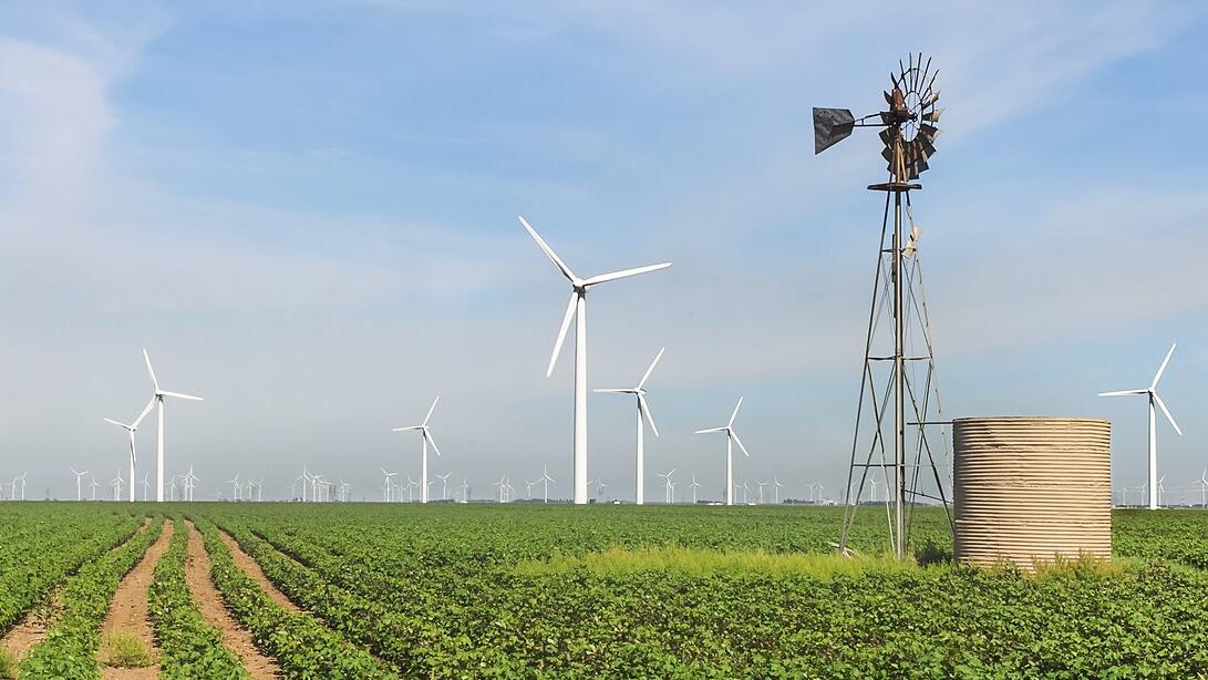 Trump ban on wind power projects overturned