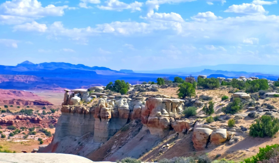 Trading floor: Ramelius, Trigg, 4DMedical move higher