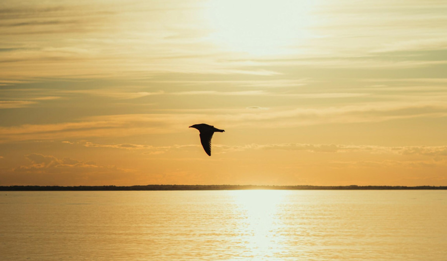 Gold defends US$4,200; 'hawkish' Fed cut expected