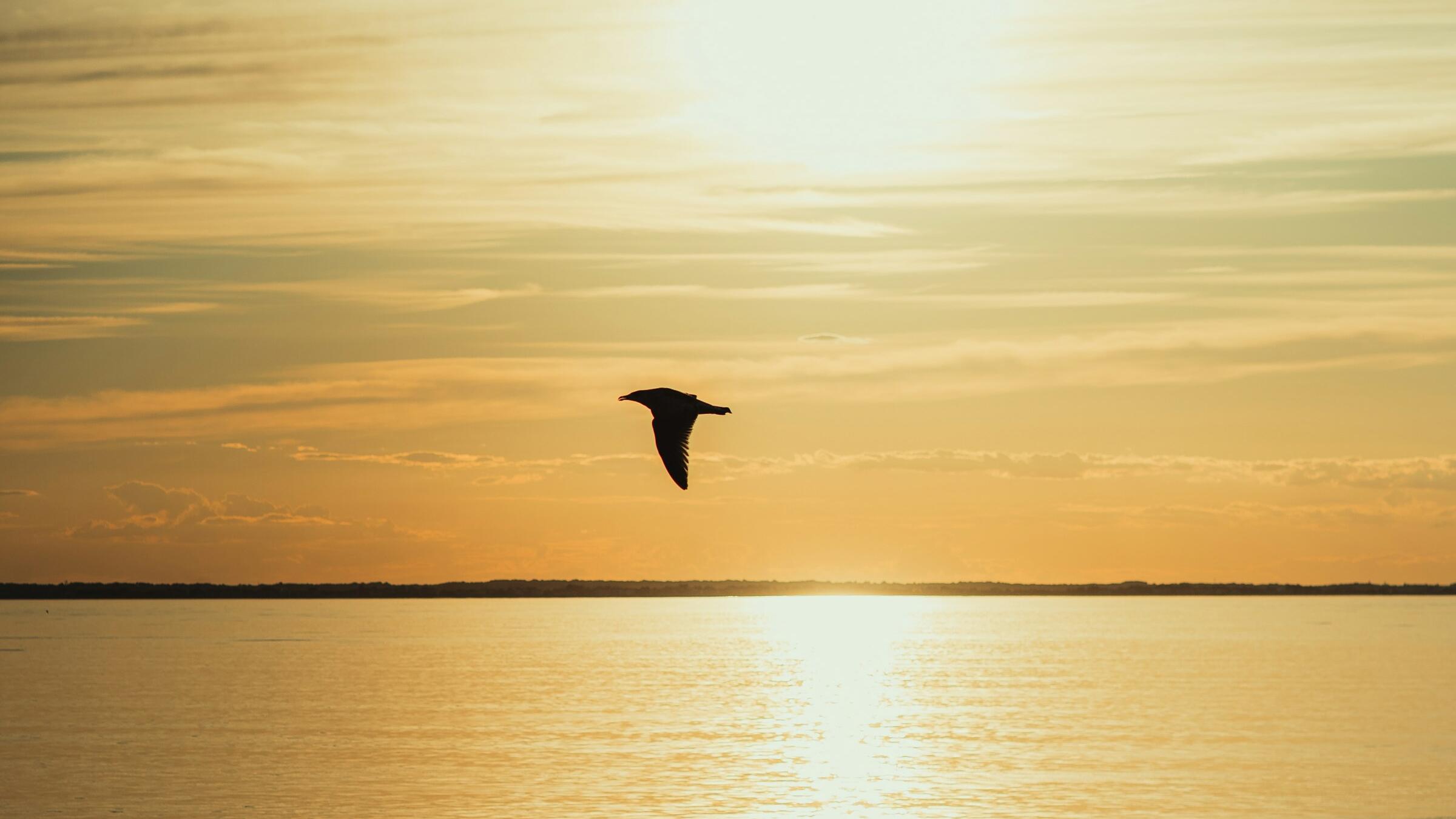 Gold defends US$4,200; 'hawkish' Fed cut expected