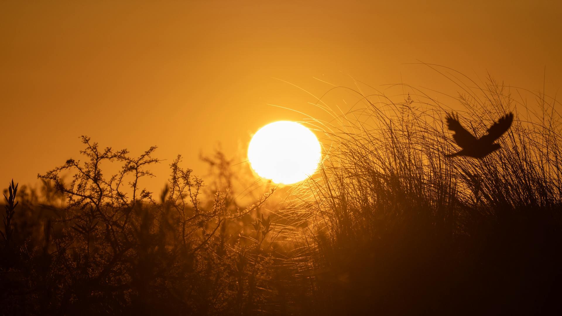 Markets: Gold stalls below US$4,250 post Fed cut