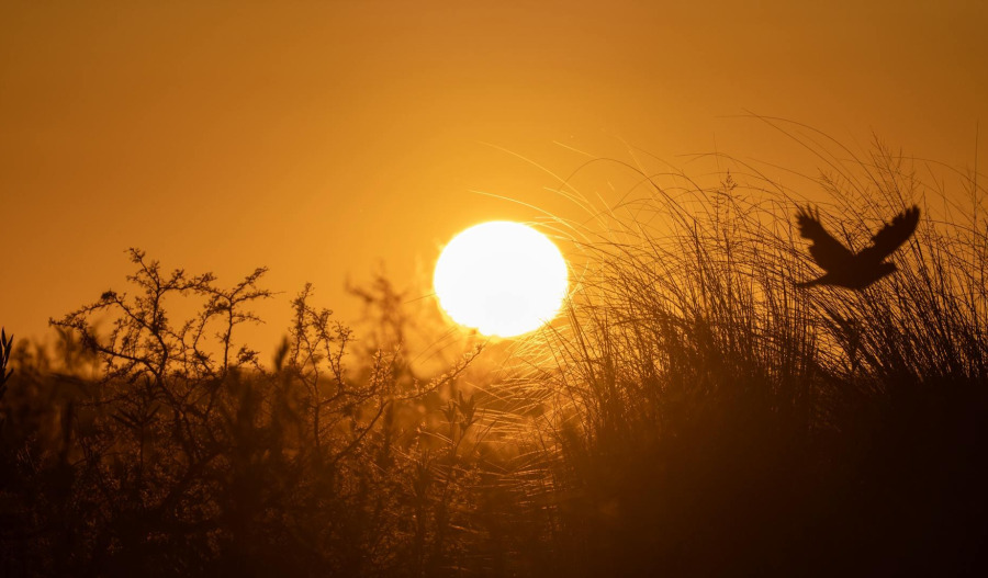 Markets: Gold stalls below US$4,250 post Fed cut