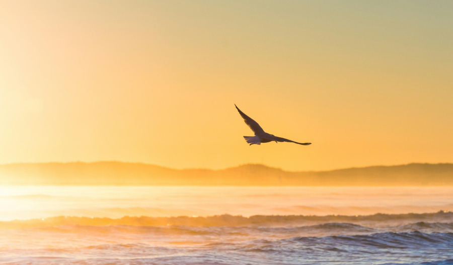 Gold defends 7wk high; traders look toward US jobs data