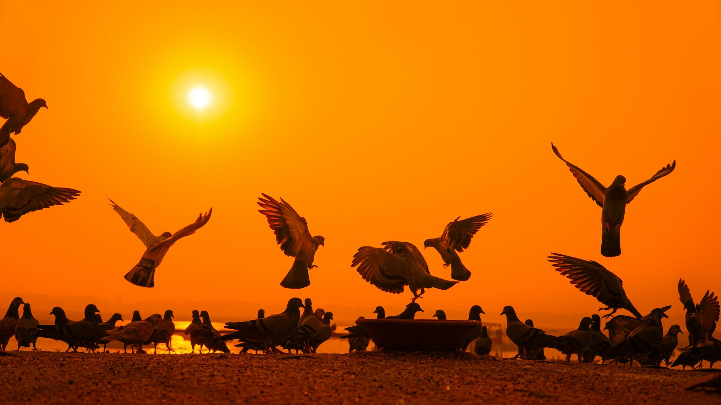 Gold slips below US$4,300; nonfarm payrolls loom