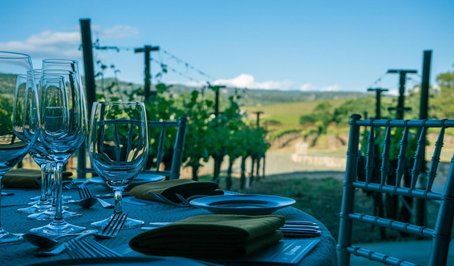 Trading floor: TWE down; MPW, Nanoveu move higher