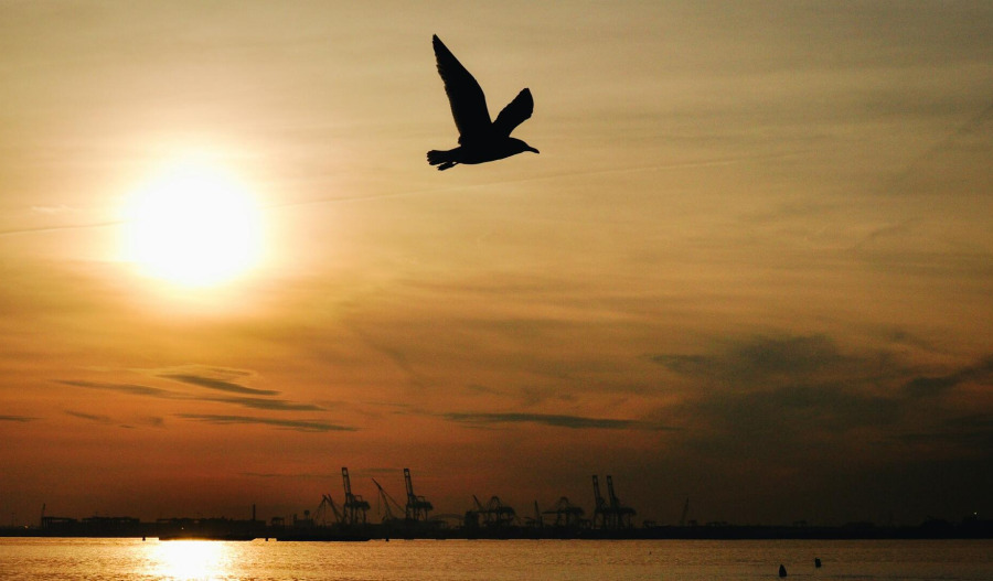 Gold prices hit new highs as US-Venezuela tensions rise