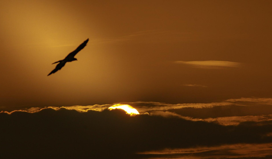 Gold, silver ease from records amid profit-taking