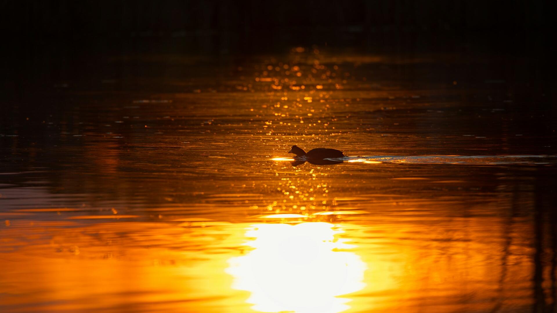 Gold slips from US$4,350 level amid profit taking