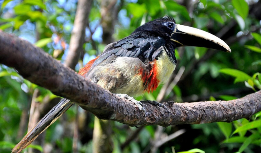 Big oil eyes Venezuela but calls it uninvestable, for now