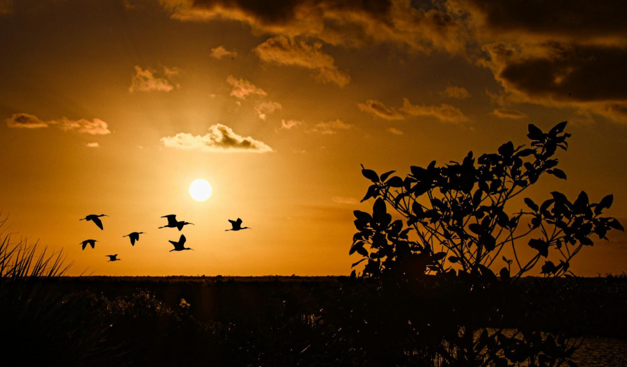 Gold hits fresh record above US$4,650 on tariff fears