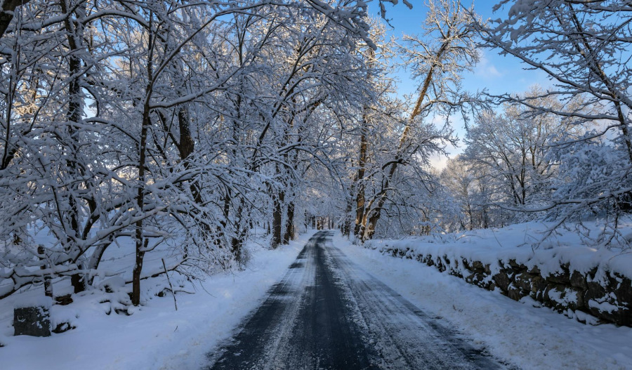 US natural gas prices surge amid US Arctic blast