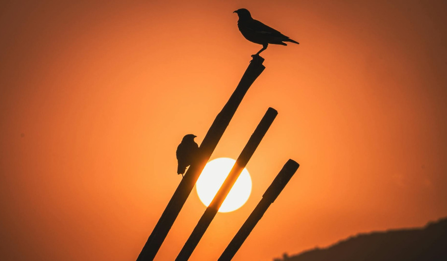 Gold hits record above US$4,850 amid trade fears