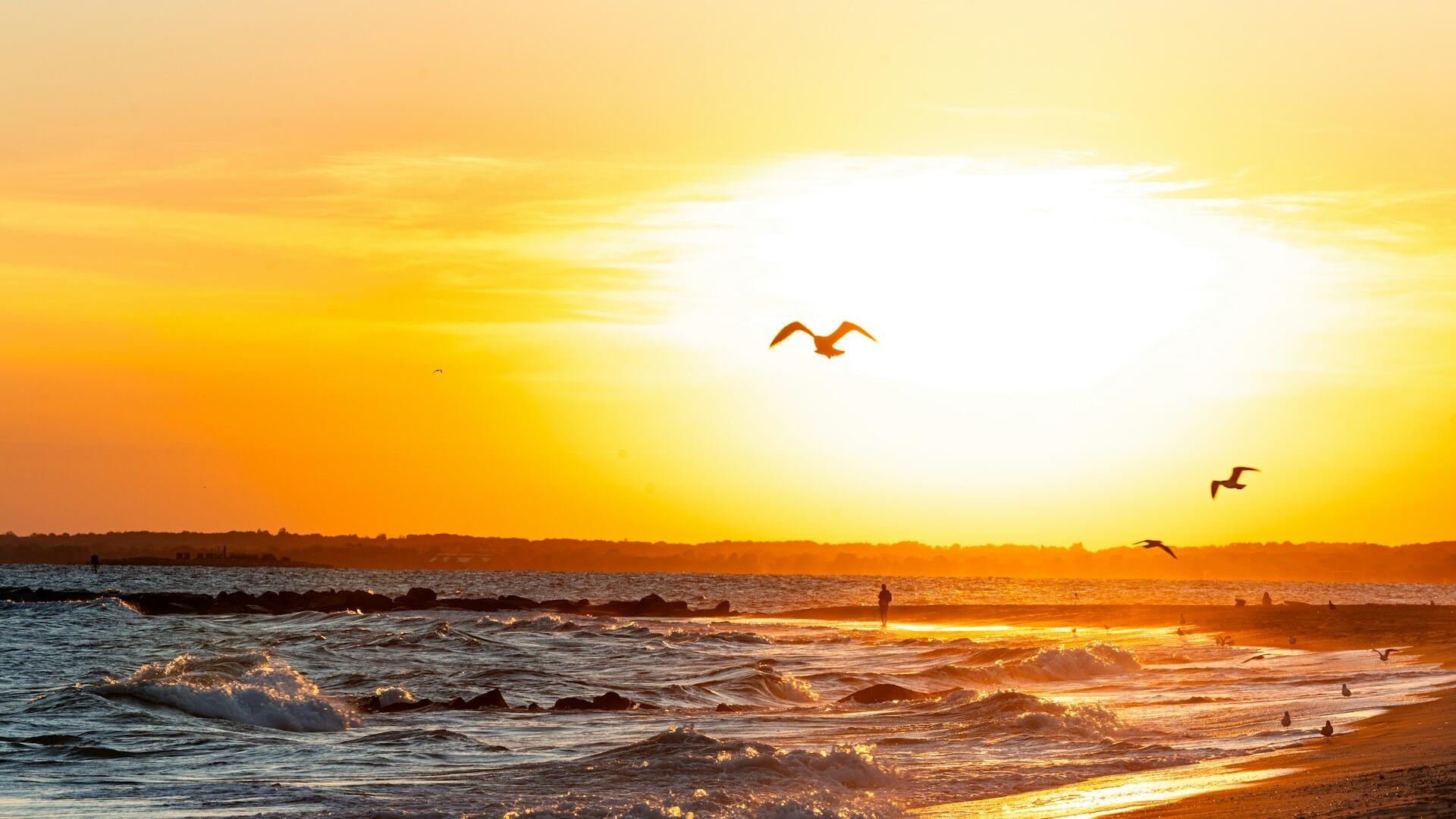 Gold slips from record as safe-haven demand falters