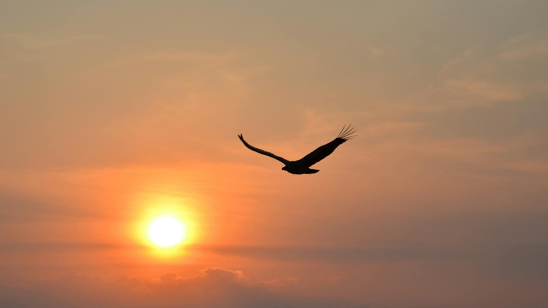 Credit: Lelani Badenhorst / Pexels