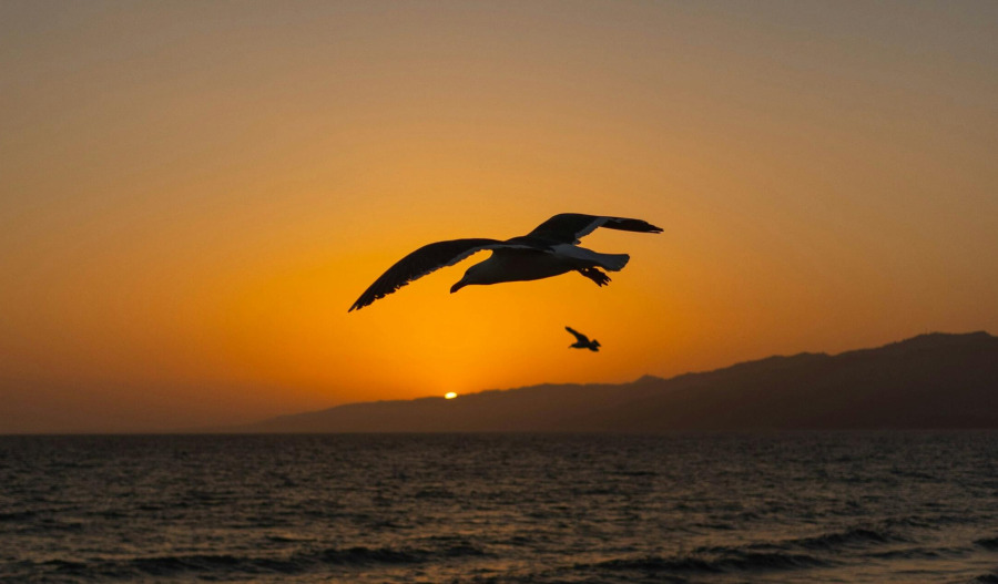 Gold soars above US$5,050 as focus turns to Fed