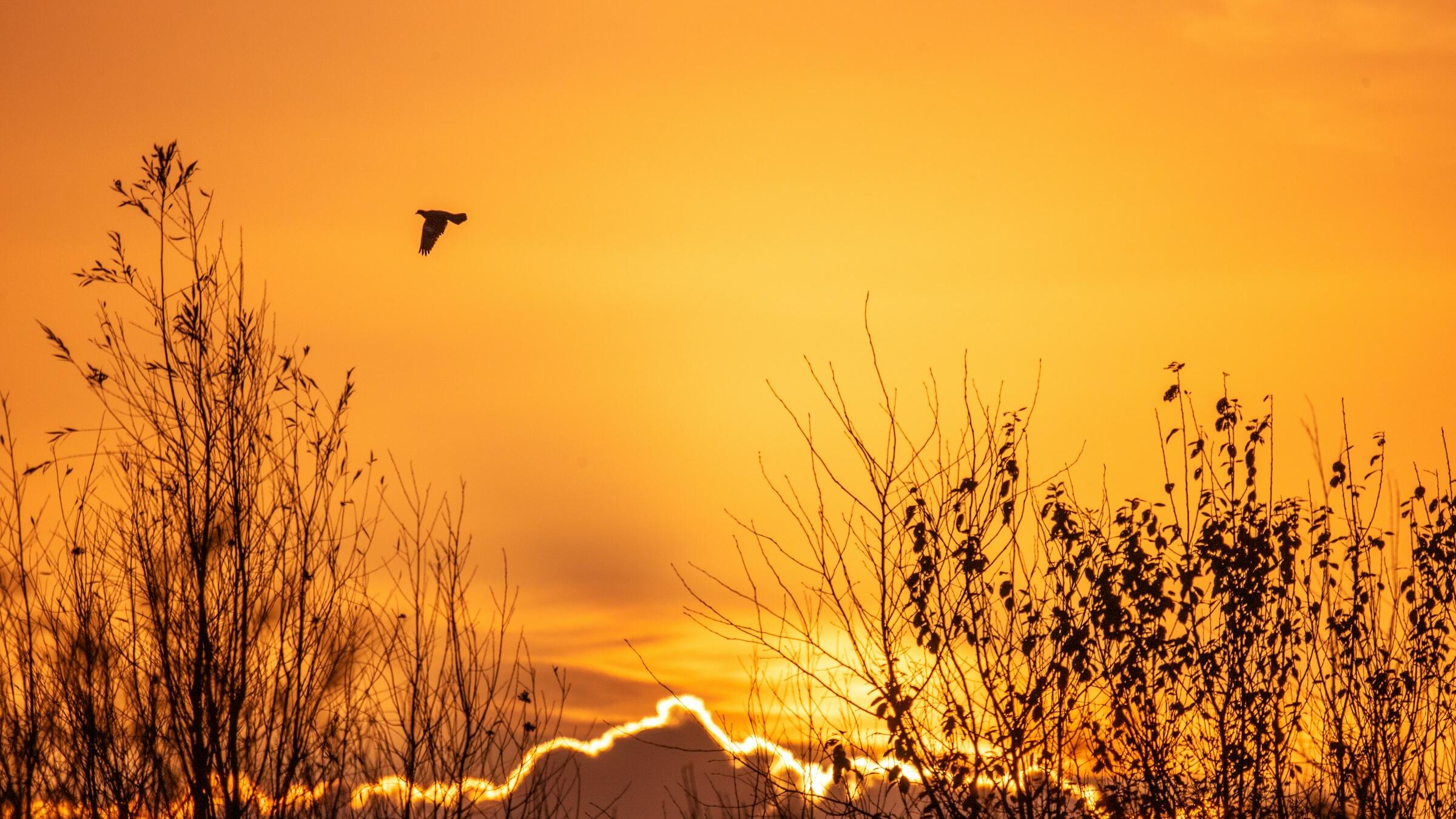 Gold surges past US$5,200 ahead of Fed decision