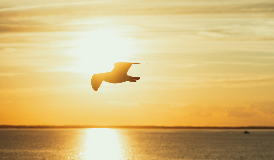 Gold refreshes records above US$5,550