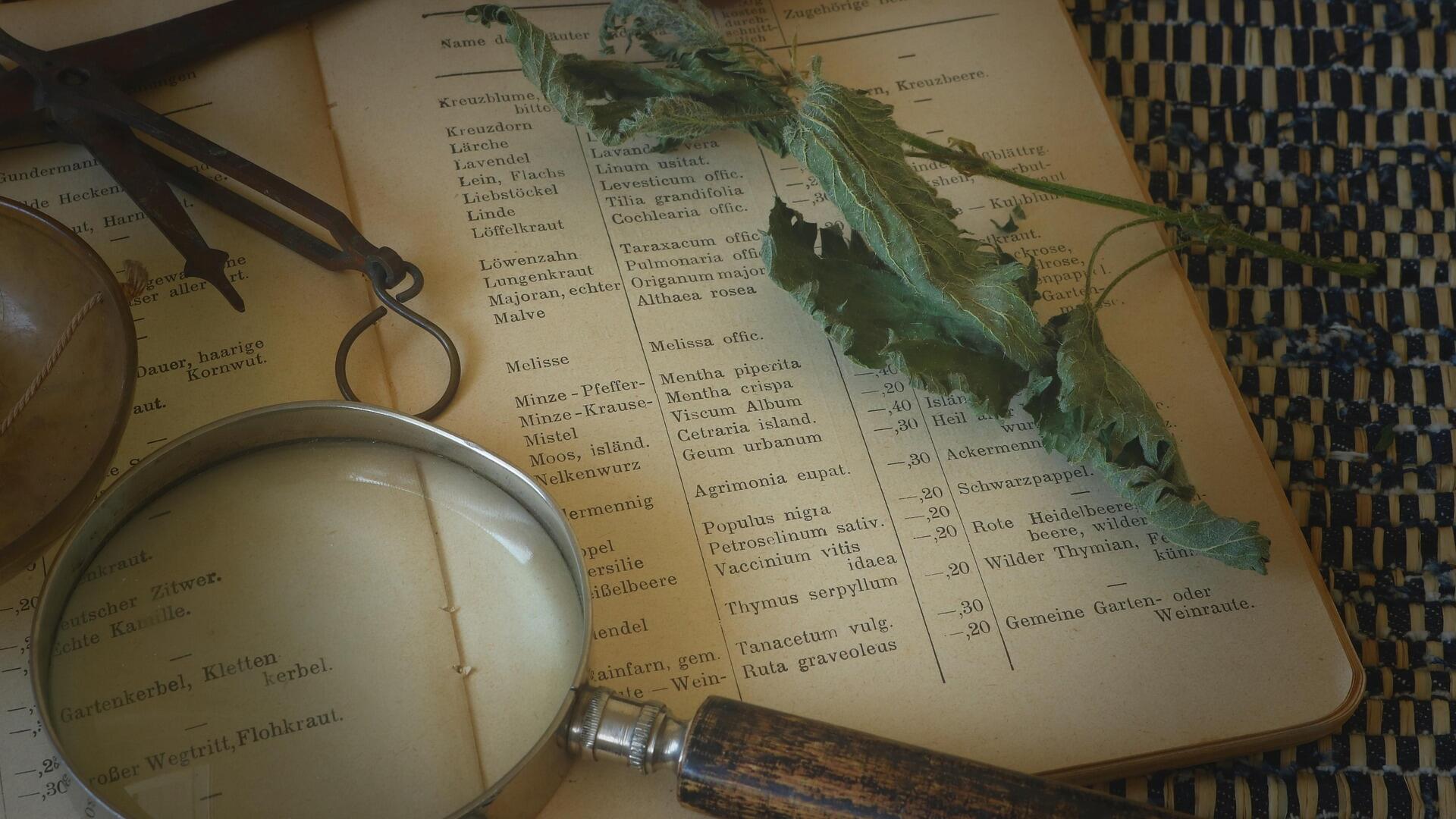 Credit: ewirz Pixabay