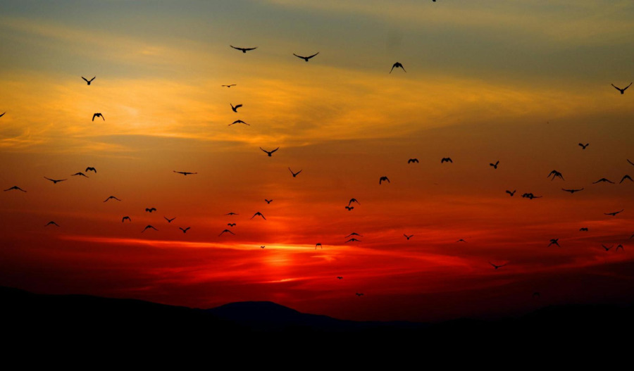 Gold extends pullback from record high