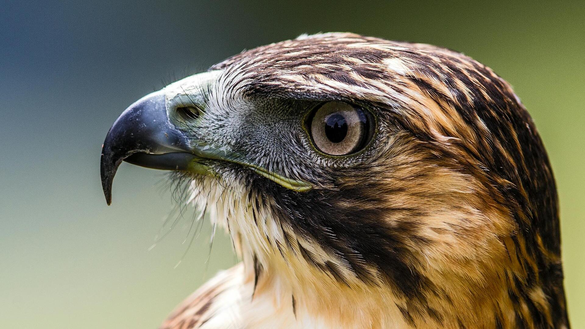 Credit: Oliver Wagenblatt / Pexels